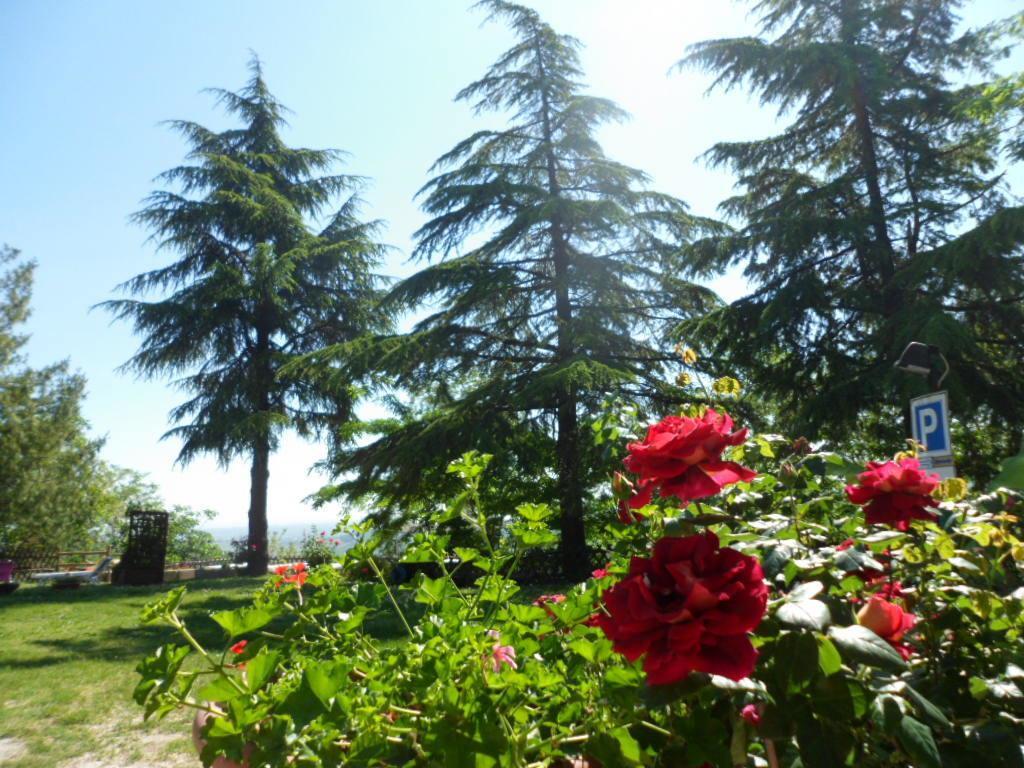 Agriturismo La Quiete Roncofreddo Extérieur photo